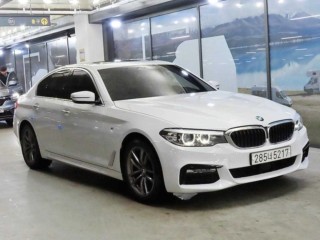 BMW 5시리즈 5시리즈 (G30) 520d M 스포츠 스페셜 에디션