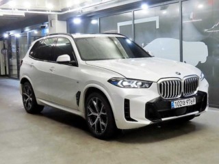 BMW X5 X5 (G05) xDrive 40i M 스포츠