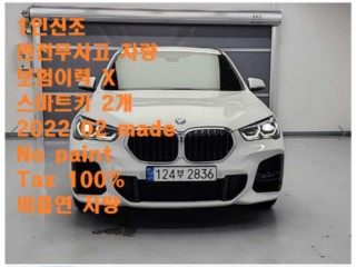 BMW X1 X1 (F48) xDrive 20i M 스포츠