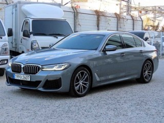 BMW 5시리즈 5시리즈 (G30) 523d xDrive M 스포츠