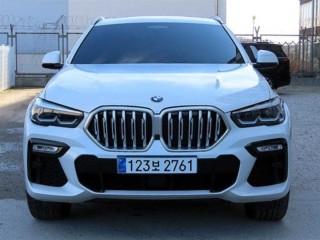 BMW X6 X6 (G06) xDrive 30d M 스포츠