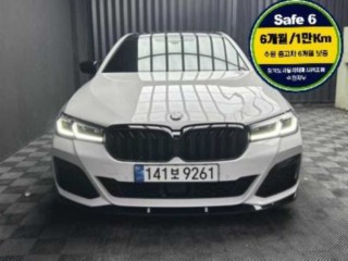 BMW 5시리즈 5시리즈 (G30) 530i M 스포츠
