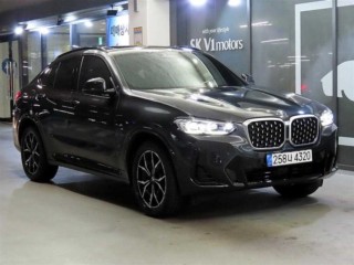 BMW X4 X4 (G02) xDrive 20i M 스포츠