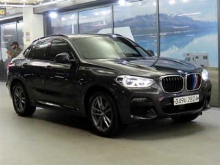 BMW X4 X4 (G02) xDrive 20d M 스포츠