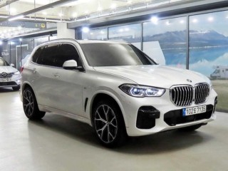 BMW X5 X5 (G05) xDrive 40i M 스포츠