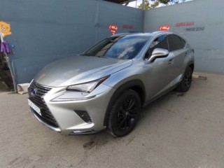 렉서스 NX NX 300h 이그제큐티브
