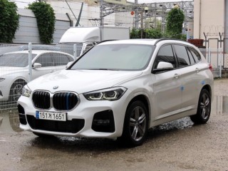 BMW X1 X1 (F48) xDrive 20i M 스포츠